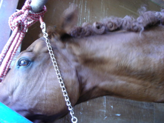 ���[�����