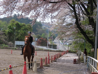 ���[�����ƍ�