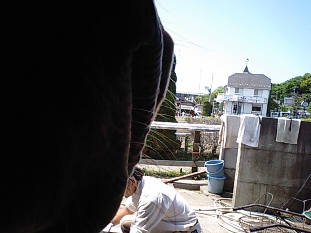qny̔n